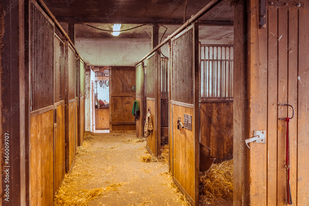 Fototapeta premium Stajnia