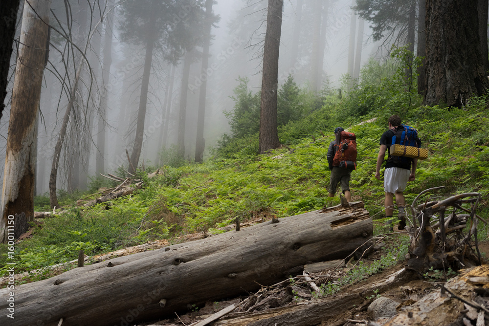 Φωτογραφία Pair of hikers go for a hike in a misty and foggy forest