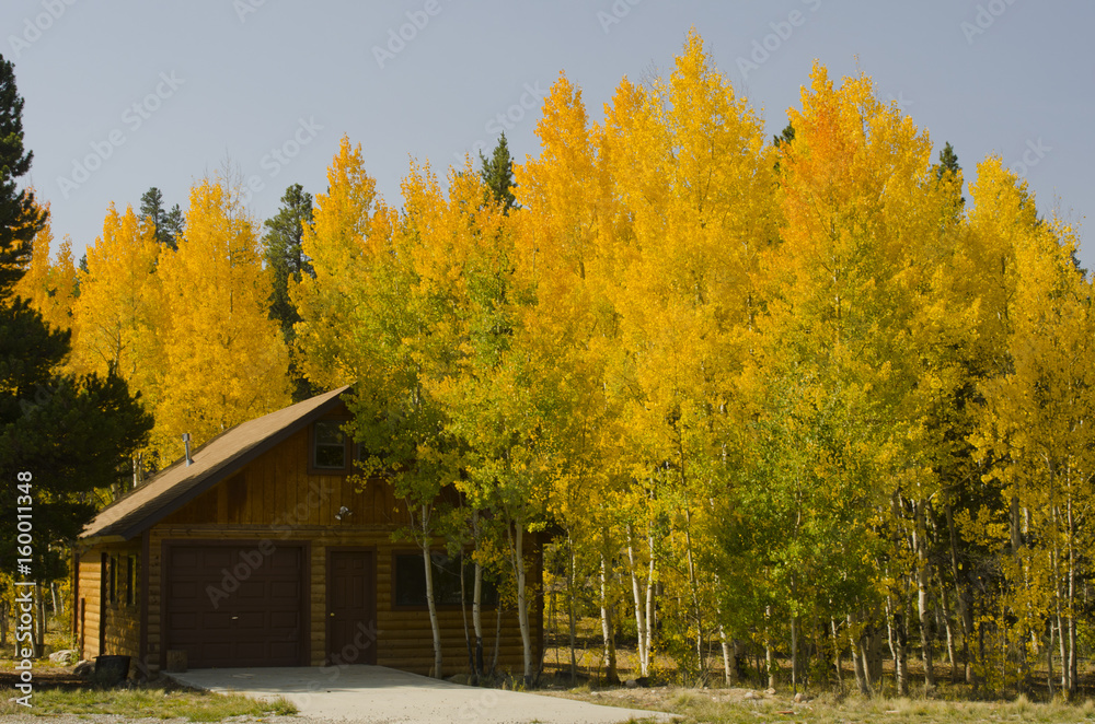 Εκτύπωση καμβά Autumn Colors Around Cabin in the Rocky Mountains