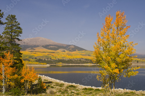 Autumn Colors on a Lake in the Colorado Mountains © Shelley