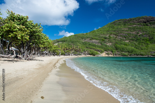 Fototapeta Naklejka Na Ścianę i Meble -  Archipel des Saintes - Guadeloupe - Plage de Pompierre