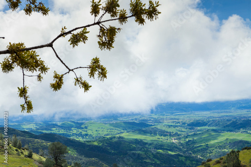 view of the Santa Ynez Valley from Figueroa Mountain, near Santa Barbara, California photo