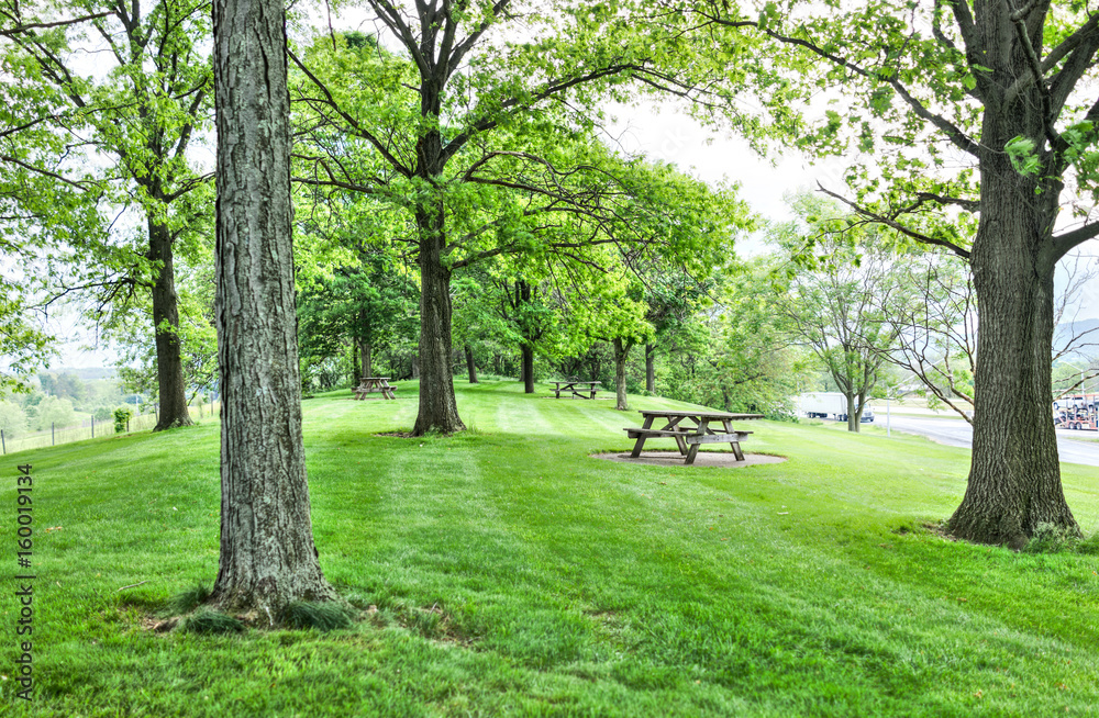 Rest area on road with picnic tables on hill during summer with green grass, trucks and cars