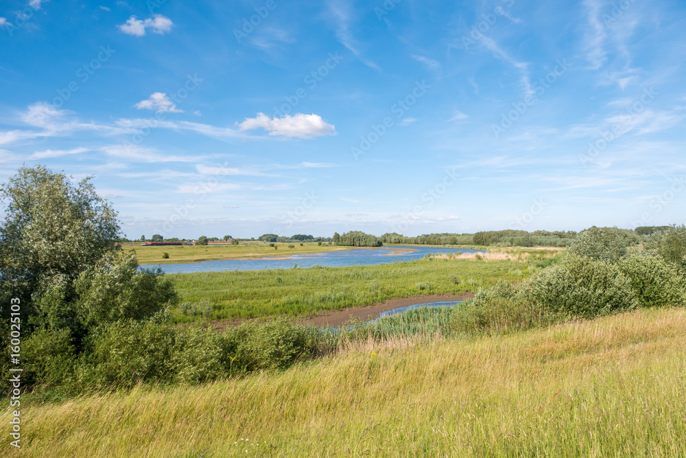Breemwaard nature reserve in forelands of river Waal, Netherlands