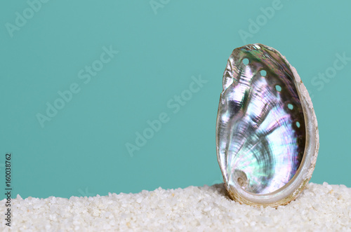 Iridescent abalone shell on white sand on turquoise background. Ormer, Haliotis, sea snail, marine gastropod mollusc. Open spiral structure. Inside nacre surface with respiratory pores. Macro photo. photo