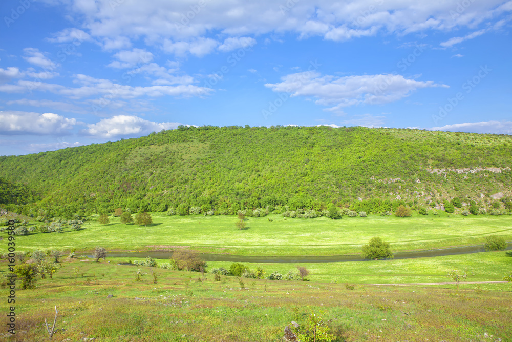 green hill in the spring