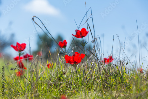 Visit to Eshkol National Park photo