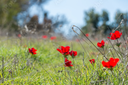 Visit to Eshkol National Park photo