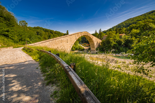 single span bridge photo