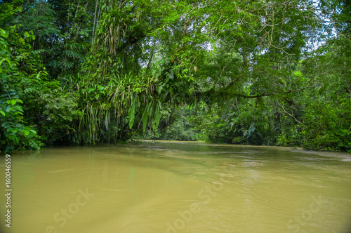 Calm and magical dark Amazon waters  located in the amazon rainforest in Cuyabeno National Park  in Sucumbios province in Ecuador