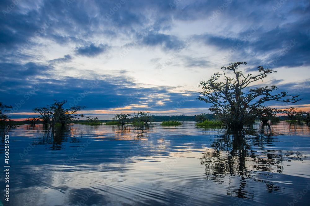 Sunset silhouetting a flooded jungle and some aquatic plants in Laguna Grande, in the Cuyabeno Wildlife Reserve, Amazon Basin, Ecuador