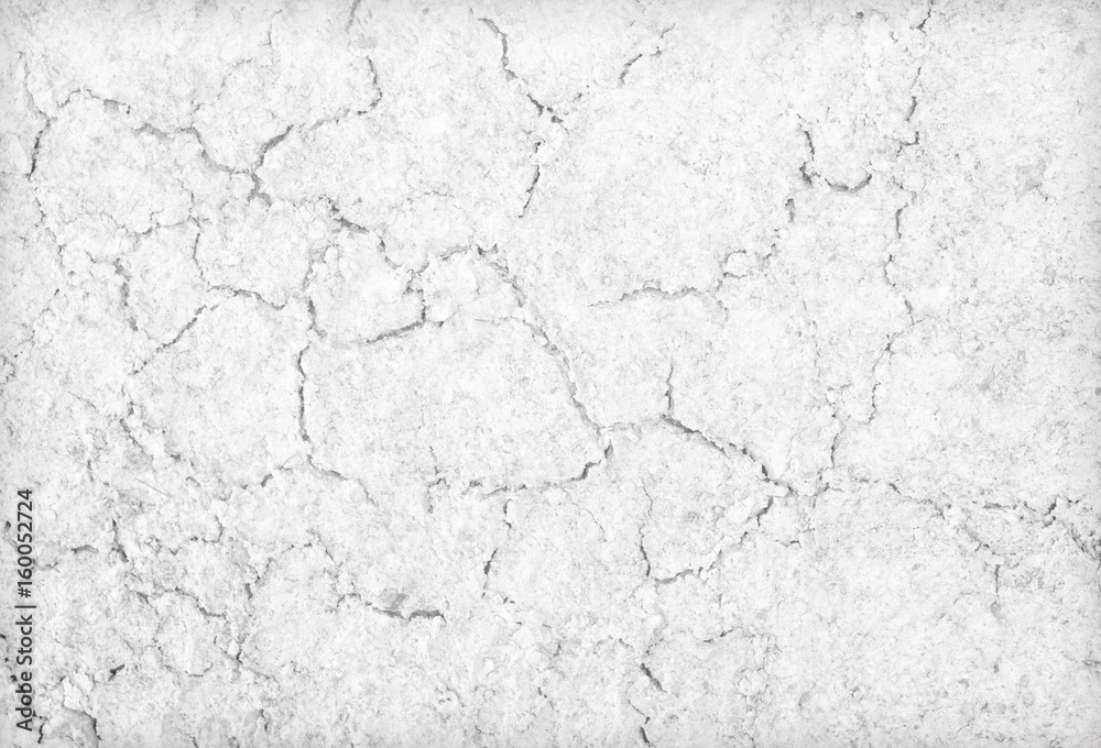 Soil cracks texture white background for design.