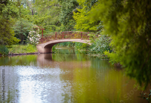 Bridge in the Park