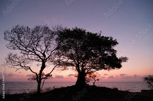 Topejawa beach at Takalar Indonesia photo