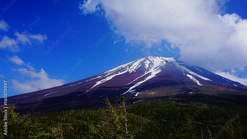 Fototapeta premium Mt.Fuji