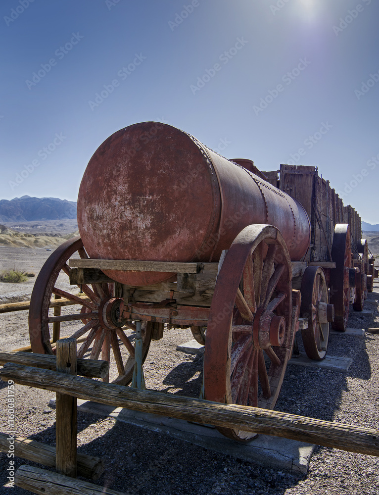 Death Valley Mule Train