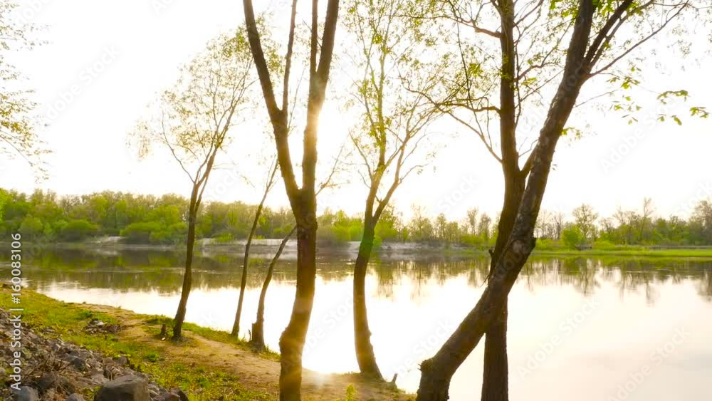 The camera moves through the trees against the background of the river The camera moves through the trees against the background of the river