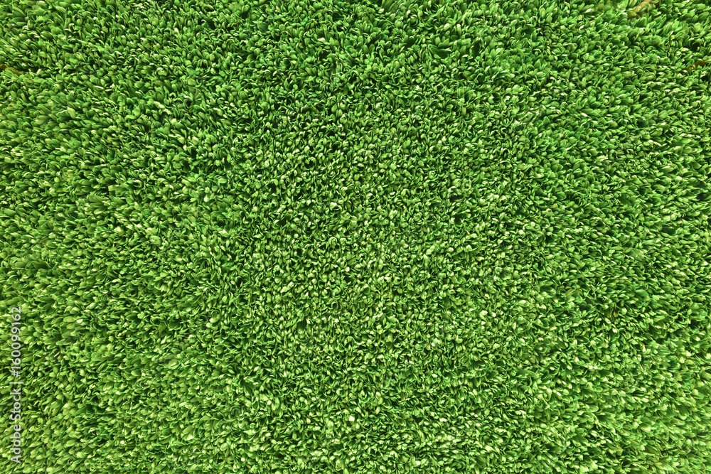 Obraz premium Artificial Green Grass