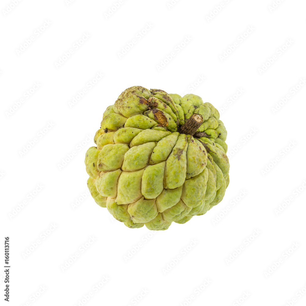 Fototapeta premium Custard apple isolated on white background.Clipping Path