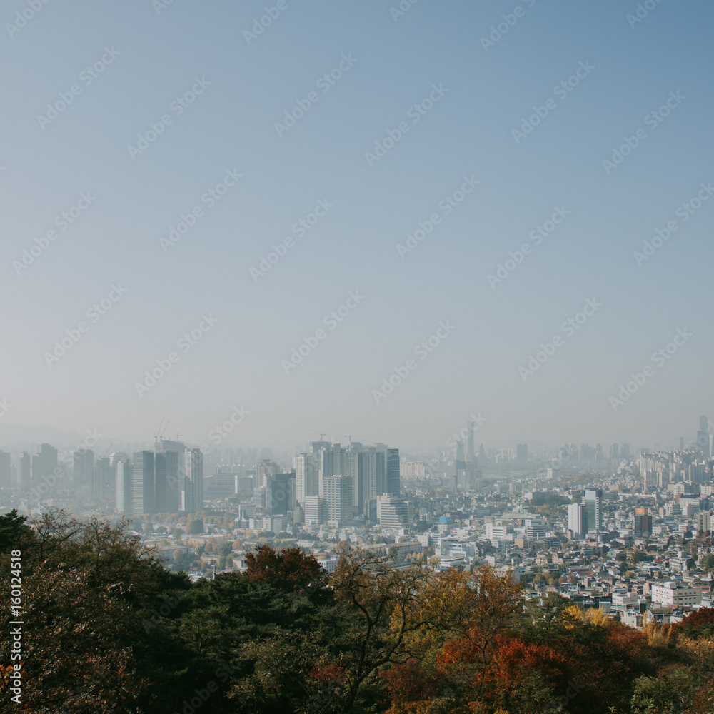 Obraz premium Seoul cityscape