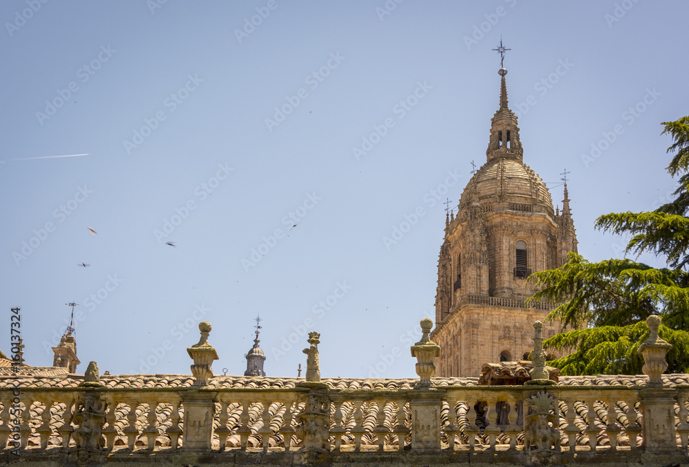 Fototapeta premium Bell tower of the New Cathedral , one of the two cathedrals of Salamanca, Spain.