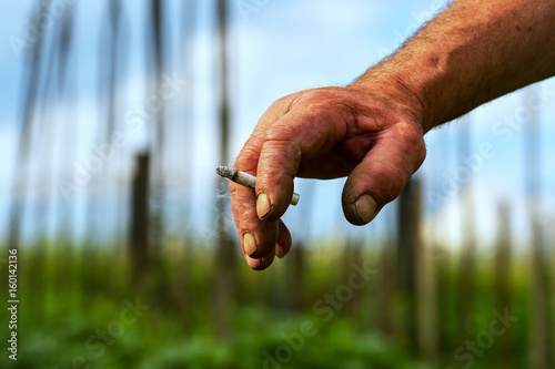 cigarette in a hand closeup