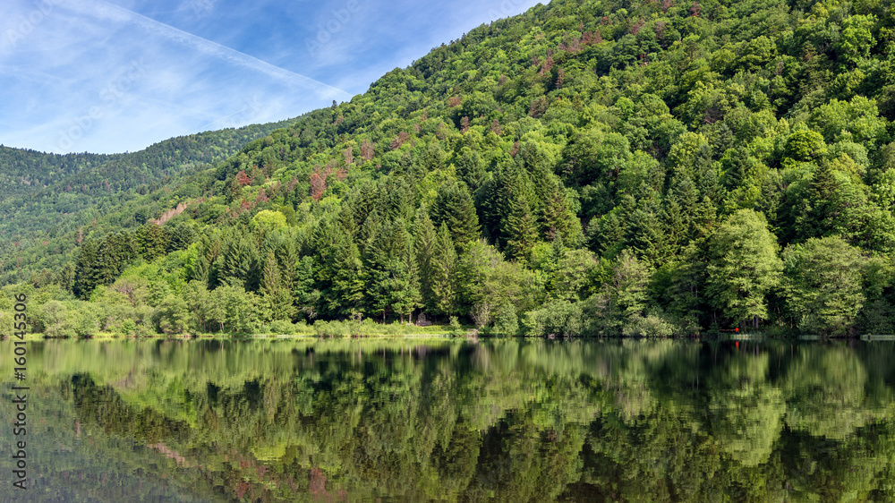 French countryside - Vosges. A small natural lake in a valley of the Vosges.