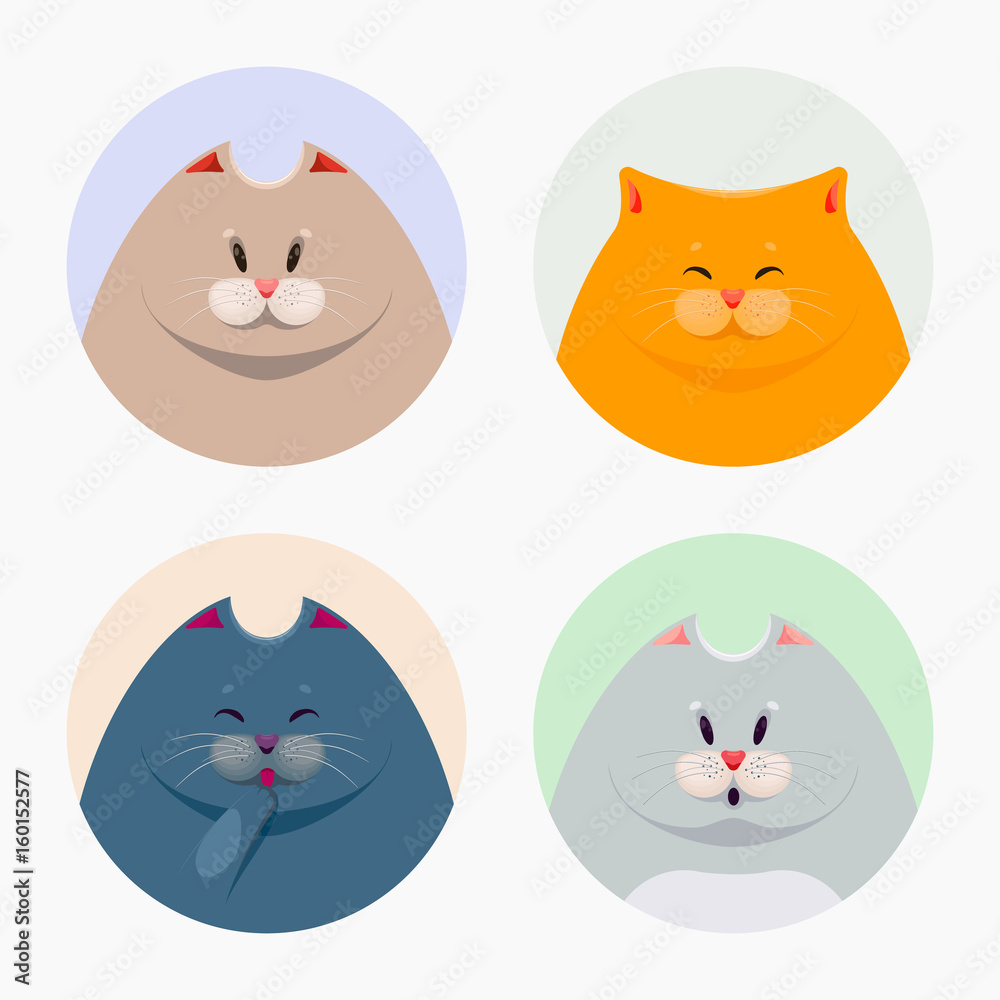 Collection of cute cats