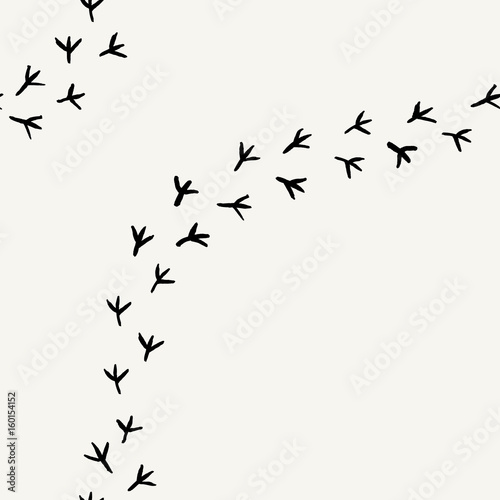 Seamless  background with bird's tracks. Hand drawn texture.