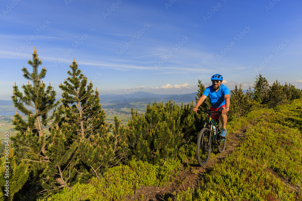 Mountain biker riding on bike in summer mountains forest landscape. Man cycling MTB outdoor sport activity.