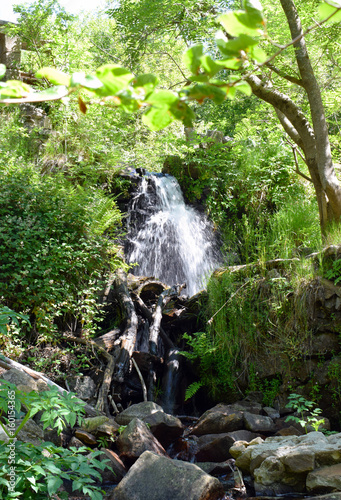 Saltos de agua en arroyo, El Montseny
