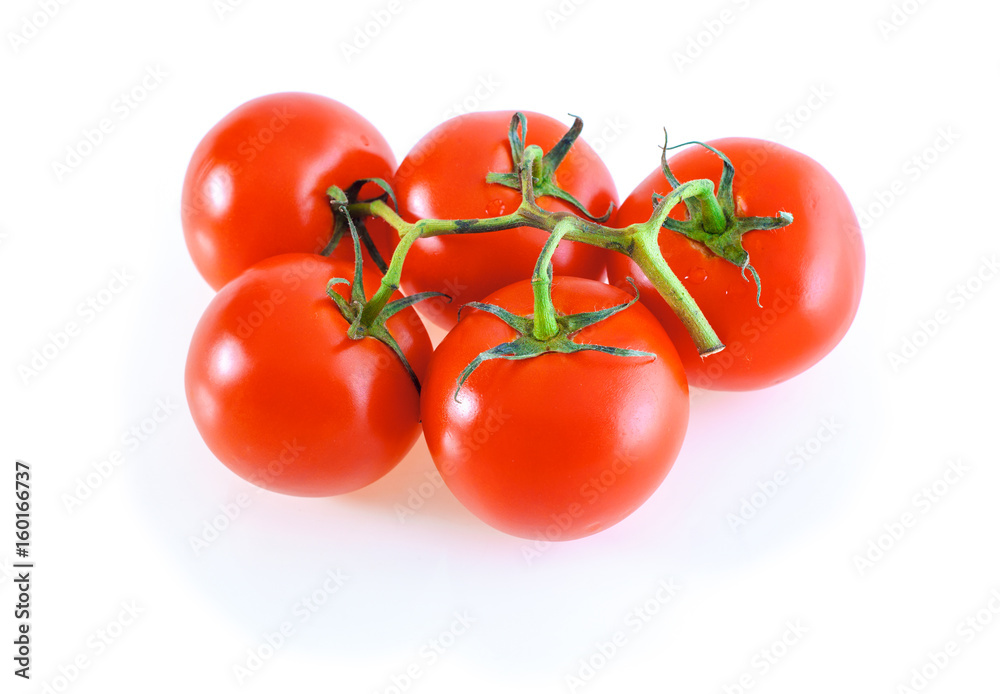 Five tomatoes on a branch isolated Five tomatoes on a branch isolated