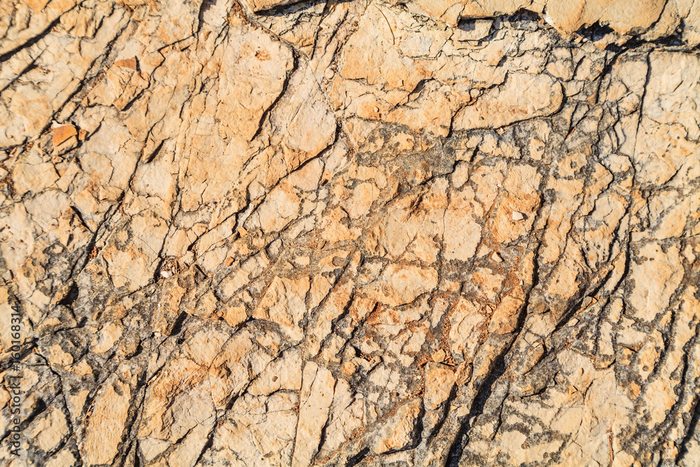 Limestone texture background Limestone texture background