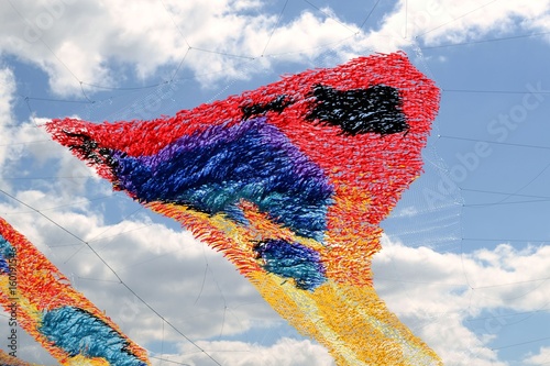Перья жар-птица (инсталляция на острове Новая Голландия в Санкт-Петербурге)