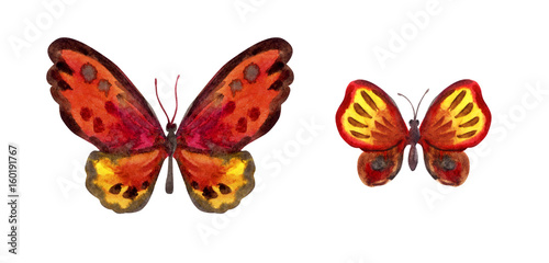 Set of decorative watercolor butterflies in red tones, watercolor pattern on a white background.