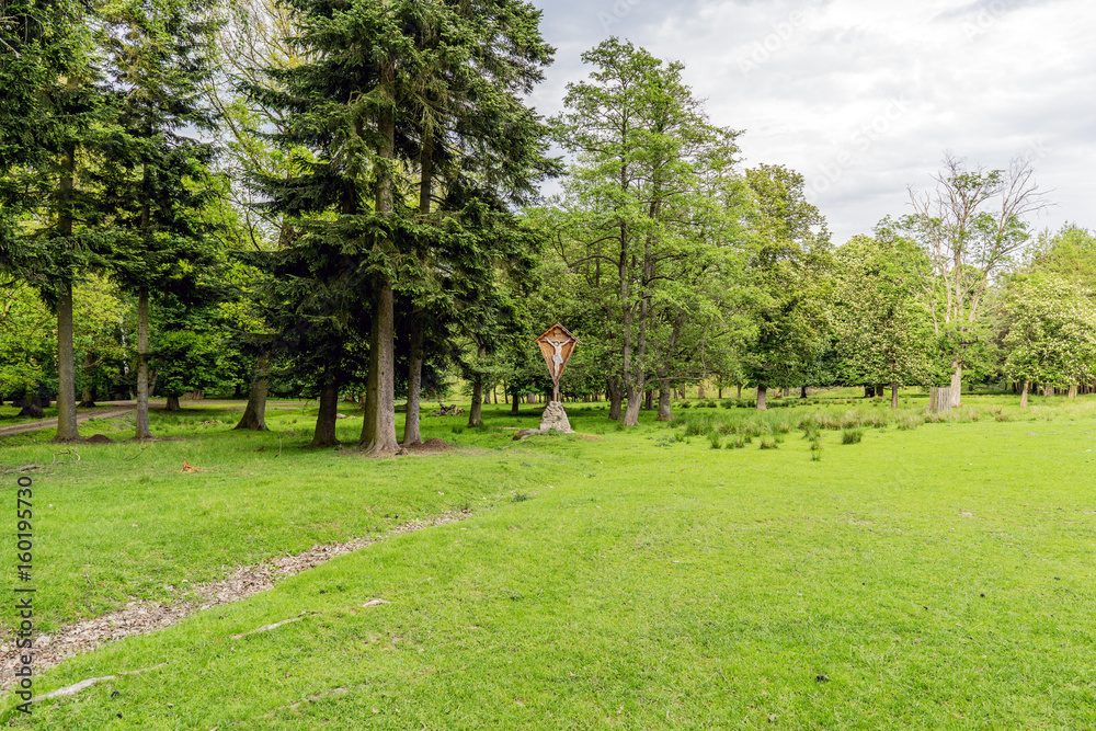 Obraz premium Forests hunting ground in the village of Velke mezirici in the Czech Republic