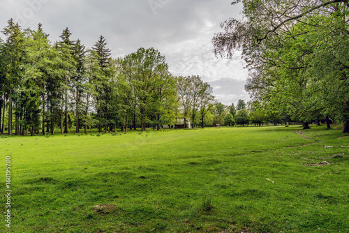 Forests hunting ground in the village of Velke mezirici in the Czech Republic