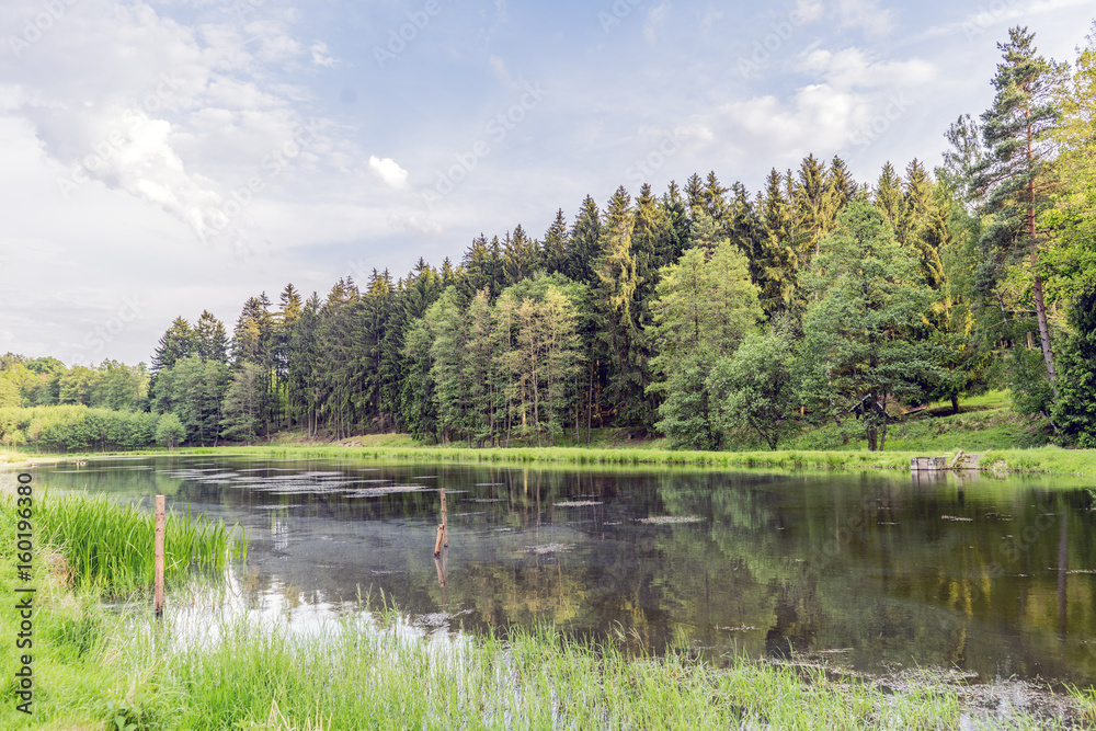 Forests hunting ground in the village of Velke mezirici in the Czech Republic Forests hunting ground in the village of Velke mezirici in the Czech Republic