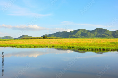 Tropical of water yellow field mountain natural landscape with blue sky background.