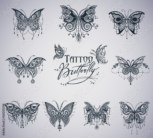 Butterflies graphic illustration