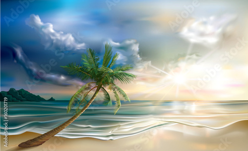 Palm on tropical beach landscape