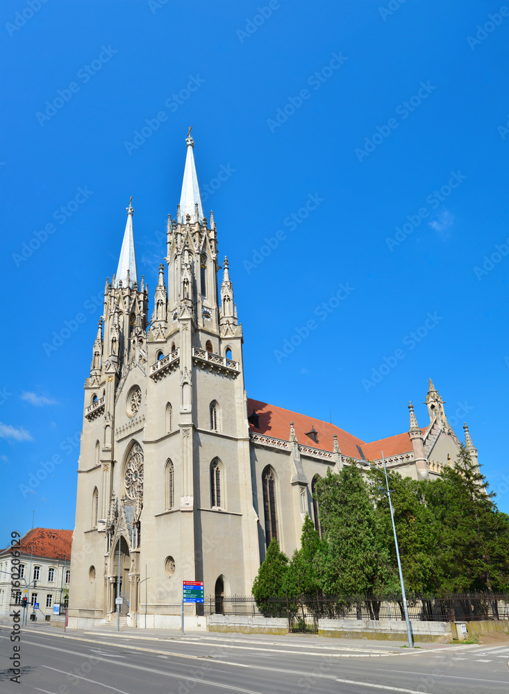 Vrsac Cathedral St Gerhard