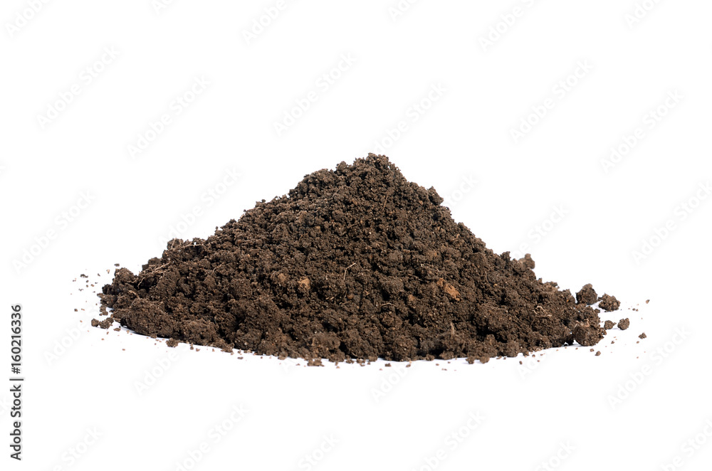 Ground closeup isolated on white background
