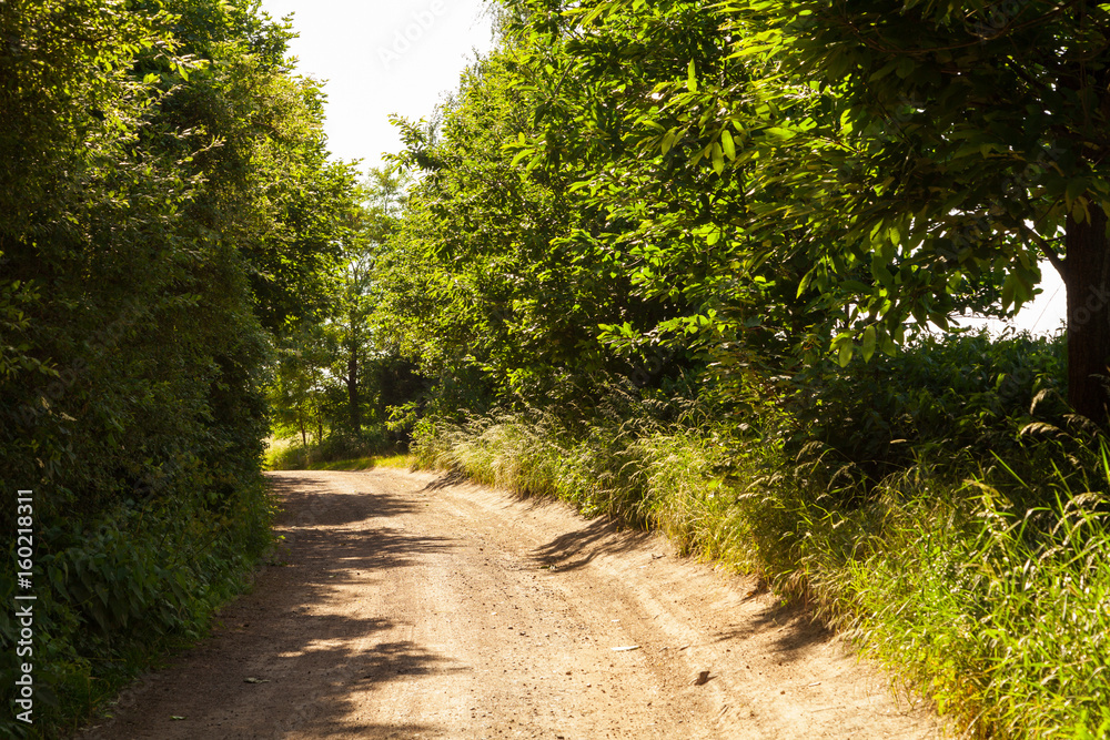 Fototapeta premium Landschaft im Sommer bei Meißen