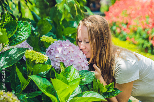 Young woman on the background of light Pink hydrangea blooming in the garden photo