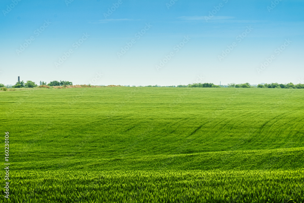 landscape green meadows