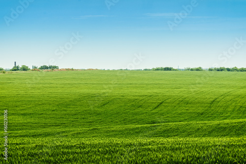 landscape green meadows