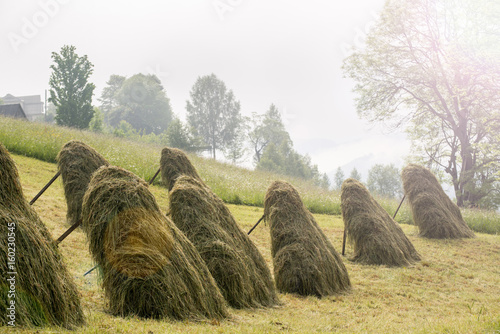 haystack in mountaing village photo