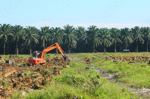 Land clearing at oil palm plantation
