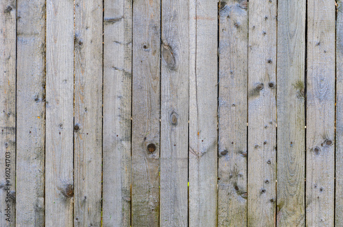 Wood plank fence texture. Untreated boards background